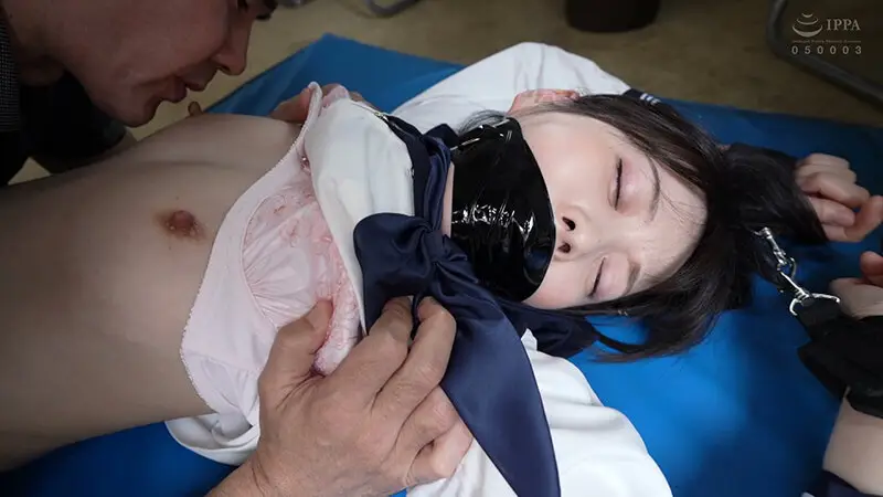 美少女レ×プBEST 純情ブチ犯しSEX350分 快感提供者キツマ○コ43名 可愛い女子の無様なマ○コを楽しもう No.5