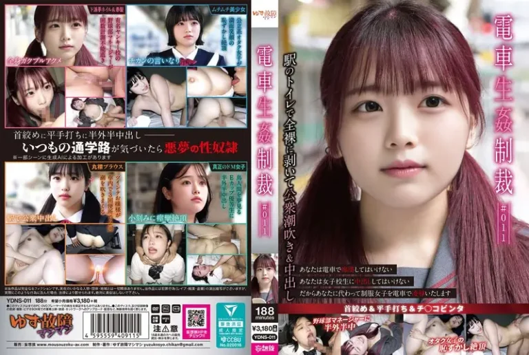 電車生姦制裁 ＃011【無料サンプル動画・レビュー】