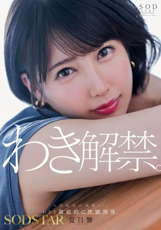 夏目響 AV卒業記念SP総集編!中出しから新作までの人気作品を集めた25作品25SEX10時間完全版! No.13