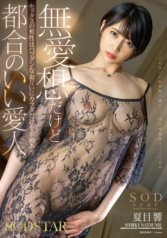 夏目響 AV卒業記念SP総集編！中出しから新作までの人気作品を集めた25作品25SEX10時間完全版！ No.20
