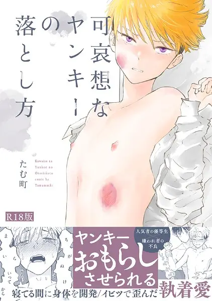 可哀想なヤンキーの落とし方《R18版》【試し読み・感想・レビュー】
