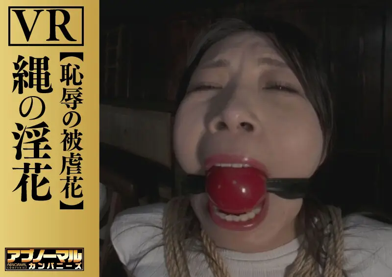 【VR】縄の淫花VR 恥辱の被虐花 小宮山亜依 No.8