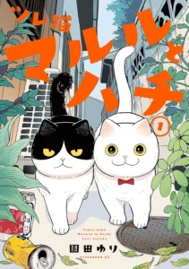ツレ猫 マルルとハチ 最新刊 表紙