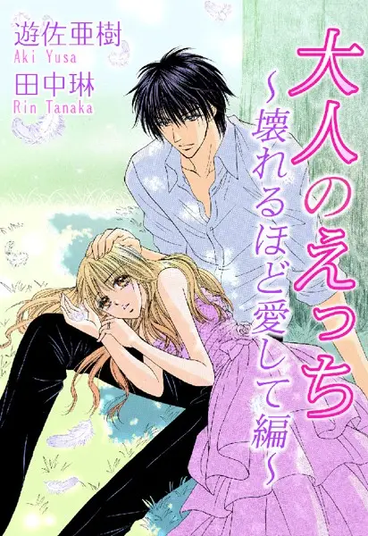大人のえっち〜壊れるほど愛して編〜【試し読み・感想・レビュー】